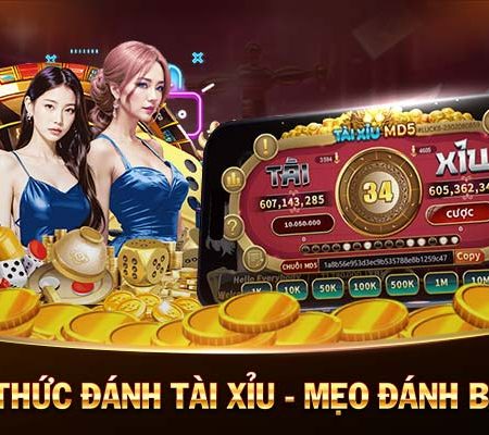 đá gà casino casino 🎰 trực tuyến việt nam