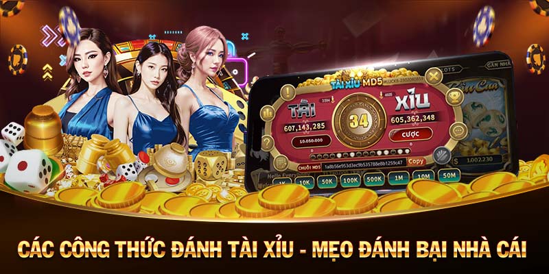 đá gà casino casino 🎰 trực tuyến việt nam